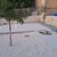 3 bedroom bungalow for sale polemi paphos 1799395 thumbnail 17596132