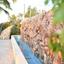 land for sale shia nicosia 1850395 thumbnail 6684831