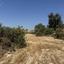 plot for sale apesia limassol 8417395 thumbnail 14934385