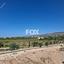 3 bedroom detached house for sale coral bay paphos 7805495 thumbnail 10593986