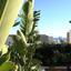 6 bedroom detached house for sale agios athanasios limassol 7737495 thumbnail 14064838
