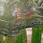 land for sale pachna limassol 900495 thumbnail 7331746
