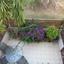 6 bedroom town house for sale tombs of the kings paphos 1355595 thumbnail 6628714