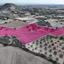 land for sale anglisides larnaca 1650595 thumbnail 11459211