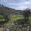 land for sale aradippou larnaca 1744595 thumbnail 5813311