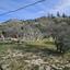 land for sale aradippou larnaca 1744595 thumbnail 5813318