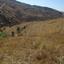 land for sale statos agios fotios paphos 7703595 thumbnail 15596539