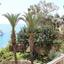 3 bedroom detached house for sale coral bay paphos 8395695 thumbnail 16722037