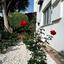 4 bedroom detached house for rent peyia paphos 8574695 thumbnail 16032950