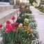 4 bedroom detached house for sale agios athanasios limassol 7738695 thumbnail 14510111