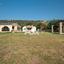 3 bedroom bungalow for sale doros limassol 1396795 thumbnail 9216800