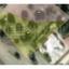 land for sale kornos larnaca 7873795 thumbnail 11394888