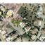 land for sale kornos larnaca 7873795 thumbnail 11394890