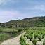 land for sale pachna limassol 945795 thumbnail 15602099