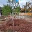 4 bedroom detached house for sale souni zanakia limassol 8076895 thumbnail 15718979
