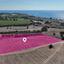 land for sale agios theodoros larnacas larnaca 1573895 thumbnail 11429738