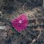 land for sale tsakistra nicosia 8628895 thumbnail 15864246