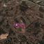 plot for sale gourri nicosia 1649895 thumbnail 10050738
