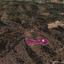 plot for sale gourri nicosia 1649895 thumbnail 10050749