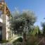 3 bedroom detached house for sale coral bay paphos 1290995 thumbnail 6183506