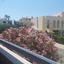 1 bedroom apartment for sale chrysopolitissa larnaca 8950006 thumbnail 17738035