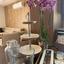 3 bedroom apartment for rent limassol municipality limassol 8805106 thumbnail 17090481
