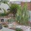 4 bedroom detached house for sale agios athanasios limassol 1189206 thumbnail 17008507