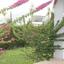 4 bedroom detached house for sale aglantzia nicosia 1592206 thumbnail 16242789