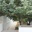 4 bedroom detached house for sale aglantzia nicosia 1592206 thumbnail 16242791