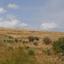 land for sale galataria paphos 1674206 thumbnail 15597038