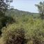 37125 SQM Land for sale in Mousere, Paphos thumbnail 15598200