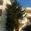 Commercial Building for sale in Makedonitissa, Nicosia thumbnail 16556766