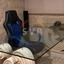 2 bedroom apartment for sale mesa gitonia limassol 1689306 thumbnail 16559660