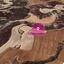 land for sale analiontas nicosia 1650306 thumbnail 5668004