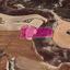 land for sale analiontas nicosia 1650306 thumbnail 5668008