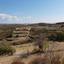 land for sale agios therapon limassol 8630406 thumbnail 16530590