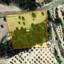 land for sale anafotida larnaca 7906406 thumbnail 16169094