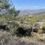 land for sale kellaki limassol 1503406 thumbnail 14143937