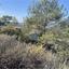 land for sale kellaki limassol 1503406 thumbnail 14143938