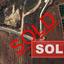 plot sold latsi paphos 1532406 thumbnail 13055266
