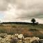 4488 SQM Land for sale in Pachna, Limassol thumbnail 16325622