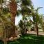 6 bedroom detached house for rent kato paphos universal paphos 8362506 thumbnail 14559976