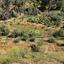 land for sale arakapas limassol 1770506 thumbnail 11340944