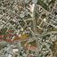 land for sale lakatamia nicosia 1841506 thumbnail 6584018