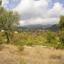 land for sale pera pedi limassol 1735506 thumbnail 5715592