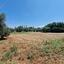 plot for sale emba paphos 1827506 thumbnail 6425659