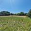plot for sale emba paphos 1827506 thumbnail 6425660