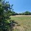 plot for sale emba paphos 1827506 thumbnail 6425661