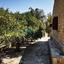 4 bedroom detached house for sale anglisides larnaca 914606 thumbnail 7635624