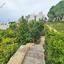 6 bedroom detached house for sale sea caves peyia paphos 1084606 thumbnail 1283330